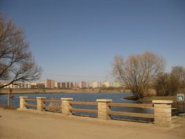 Rokytka 1-rybník Martiňák-7.4.10 (2).jpg